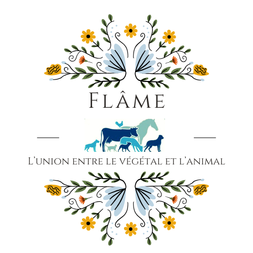 store_logo
