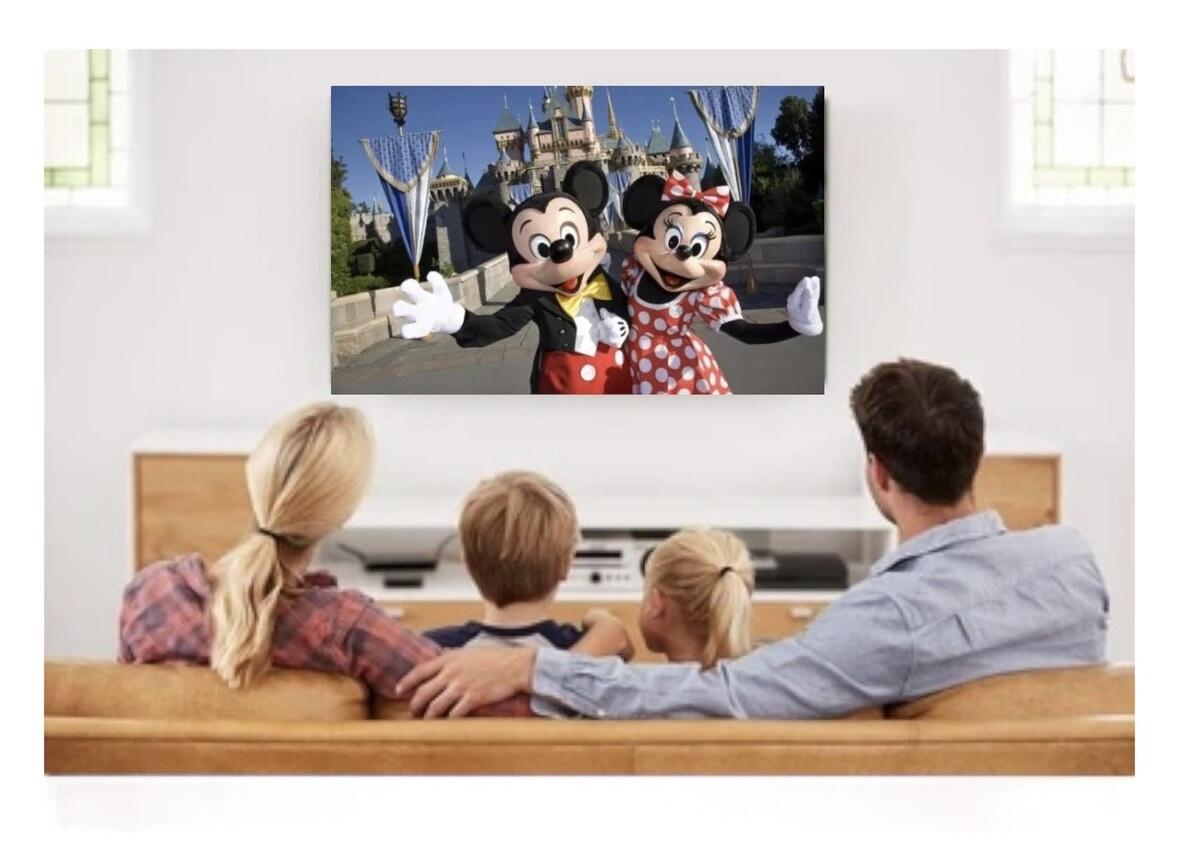 Digital Videos