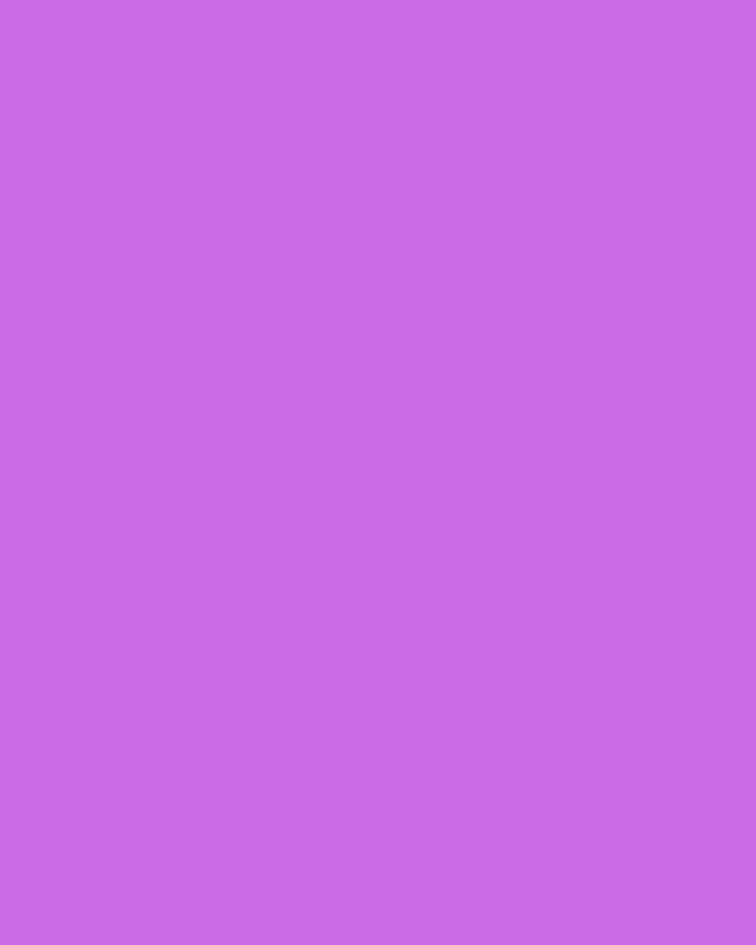 Pampilles Purple Lover