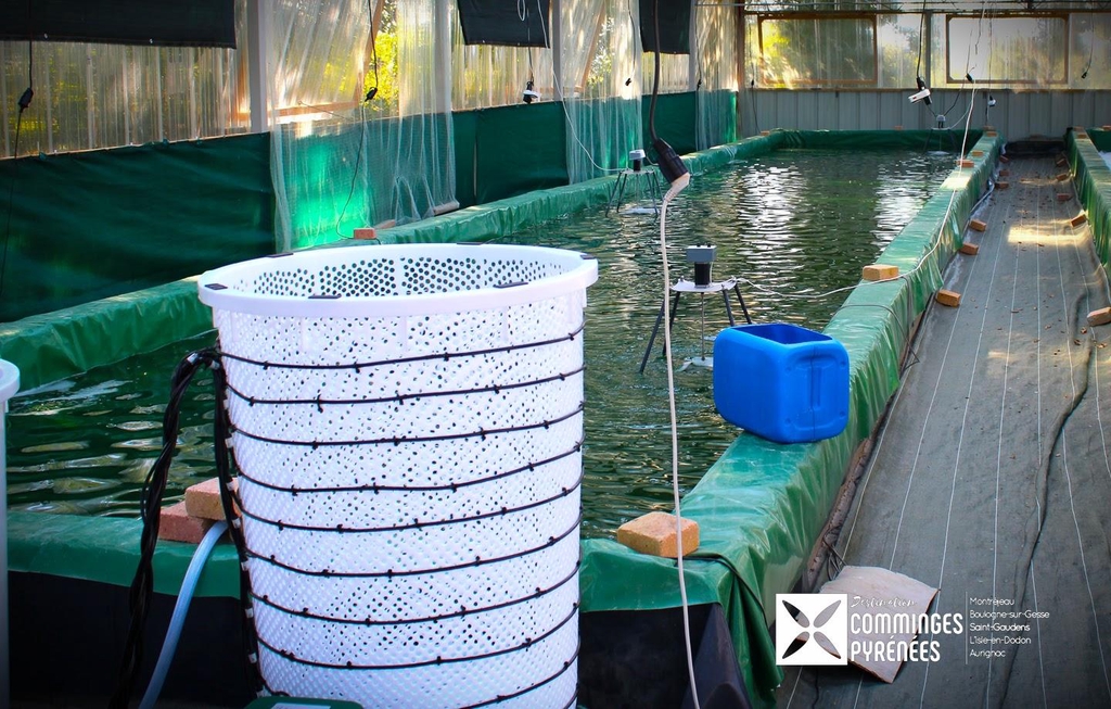 Fée spiruline Aurignac-Pyrénées 