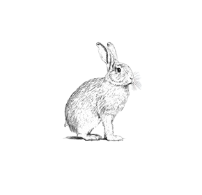 LAPIN