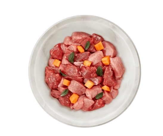 Pâtées chat terra canis