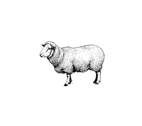 AGNEAU