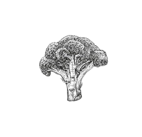 VEGAN