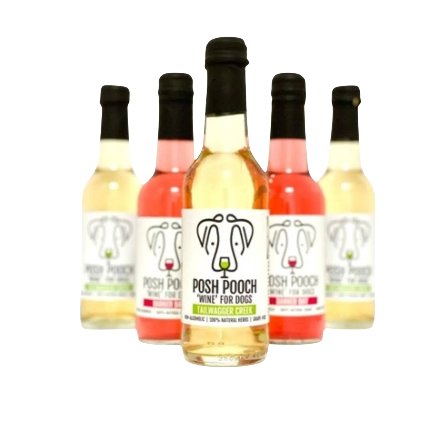 Boissons chien