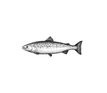 POISSON