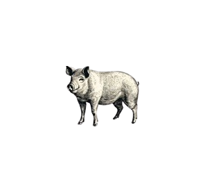 PORC