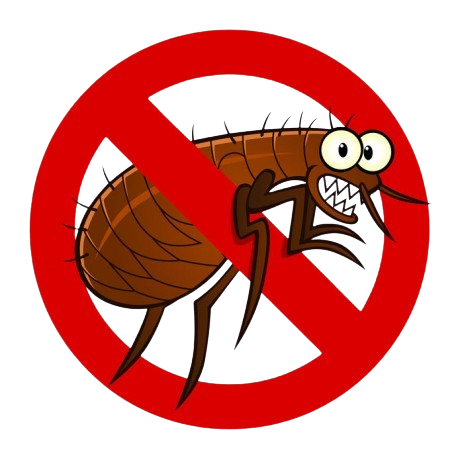 product_list_image_cover