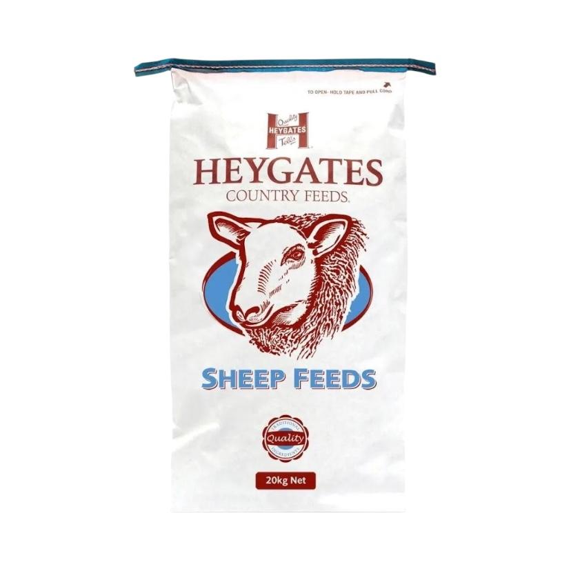 Sheep