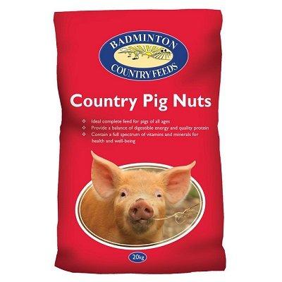 Pig