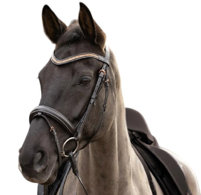 Horse Tack
