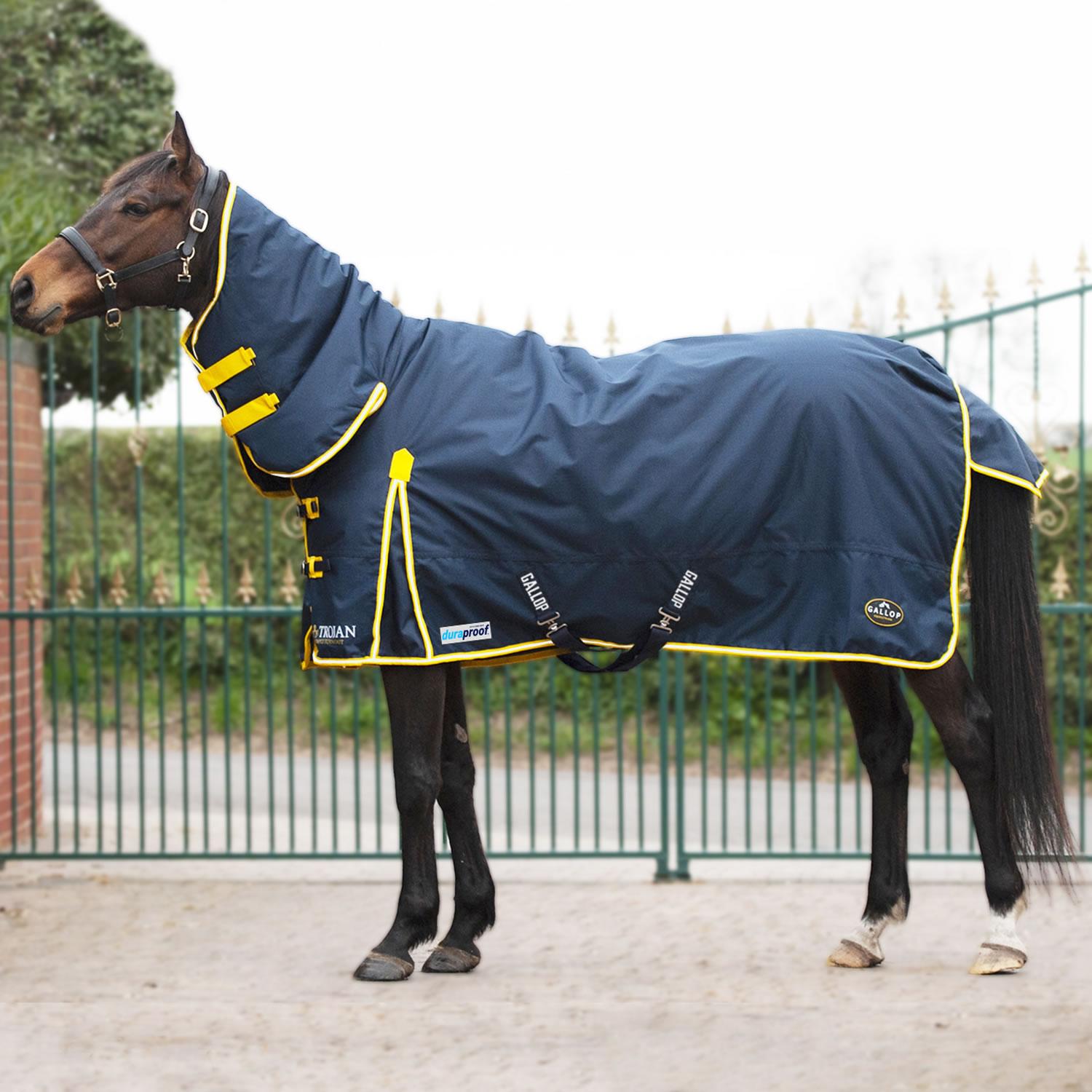 Turnout Rugs 200g