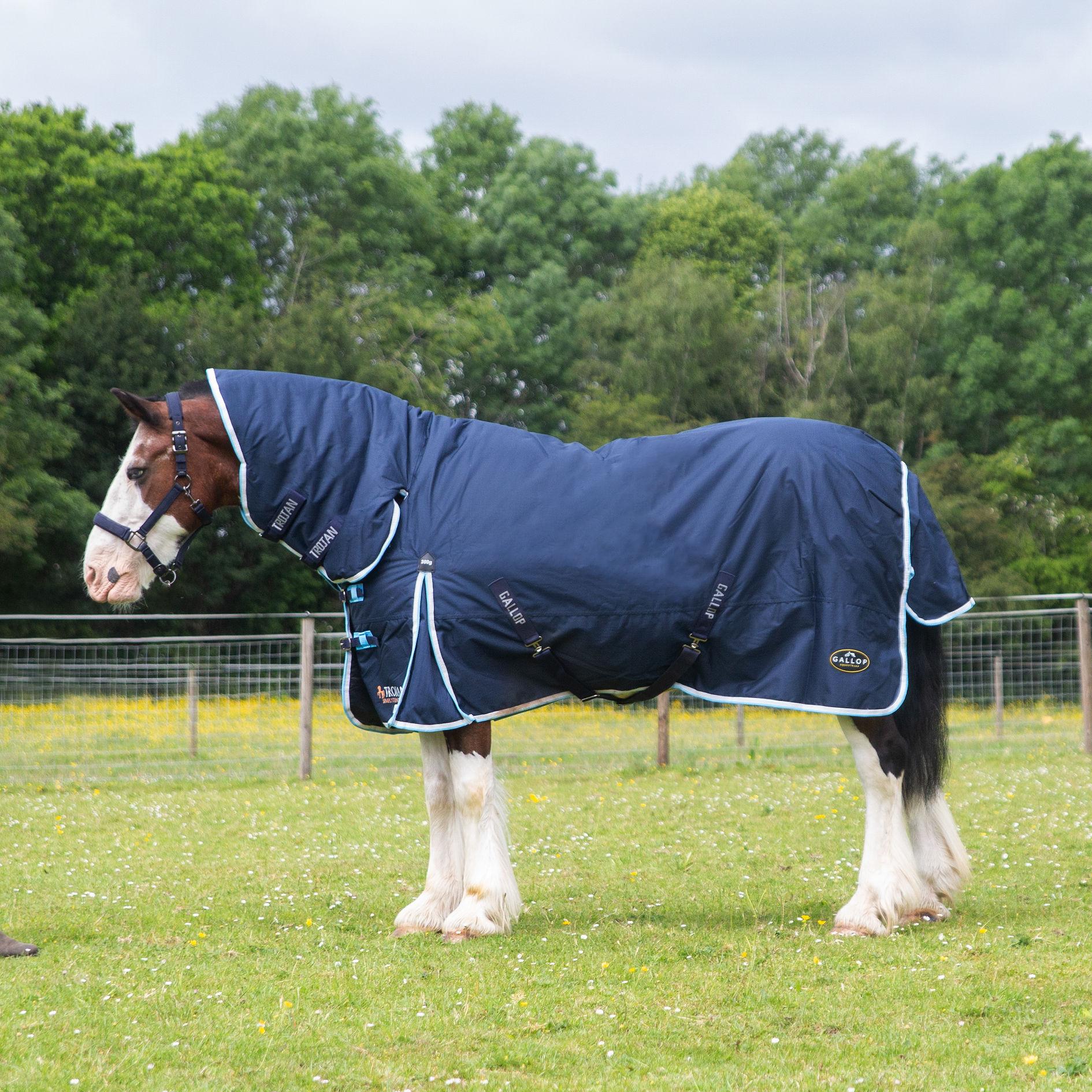 Turnout Rugs 300g
