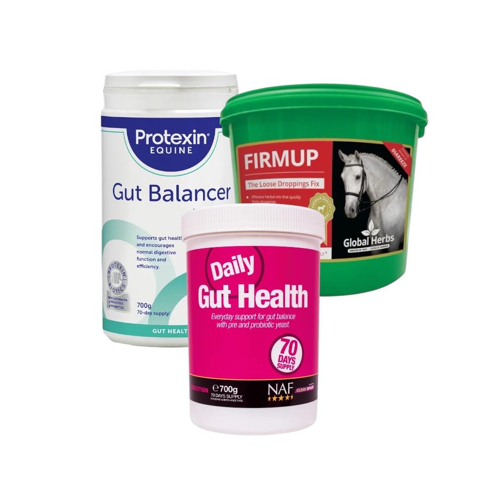 Digestion & Gut Health