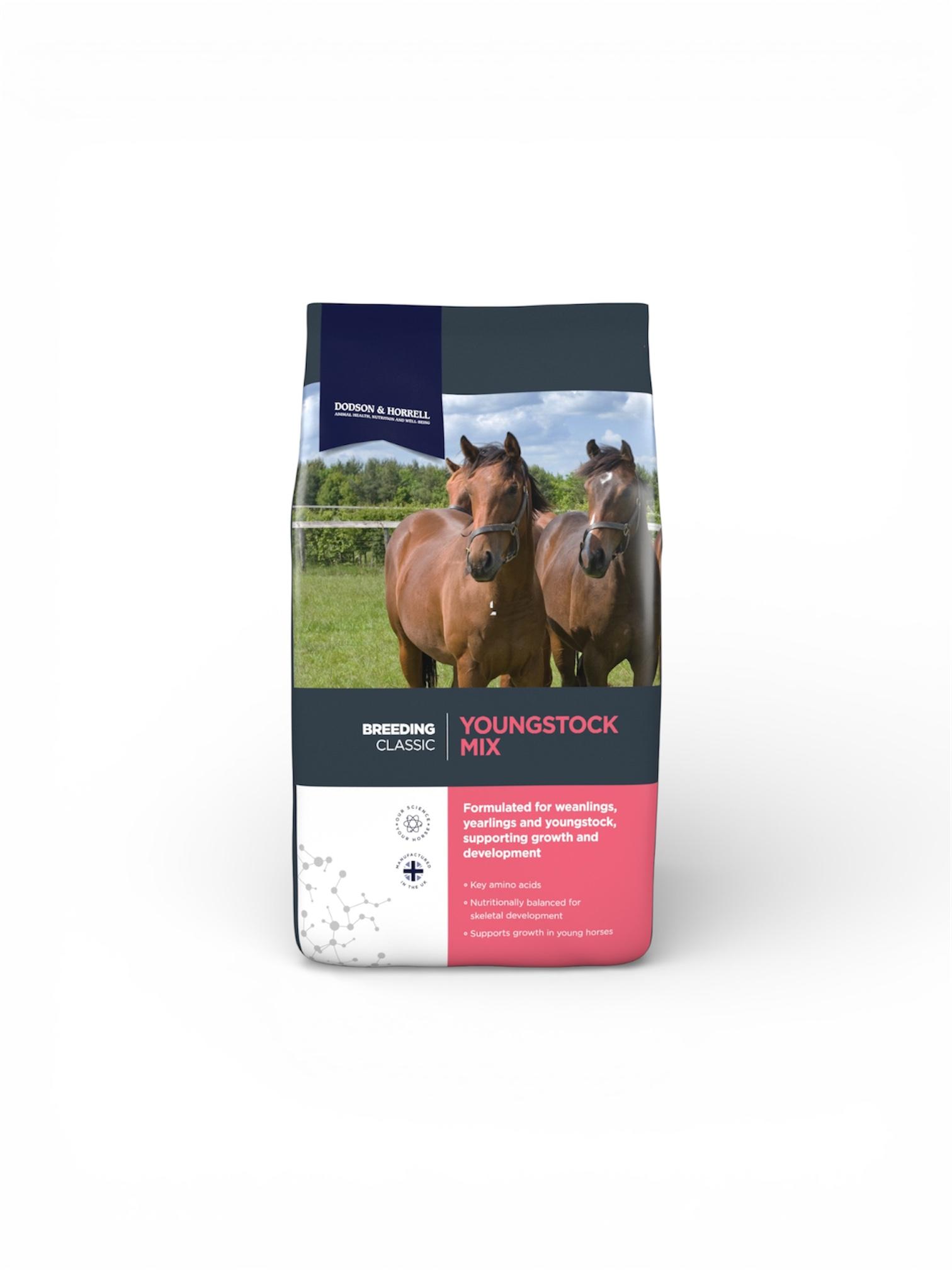 Stud, Mare & Youngstock