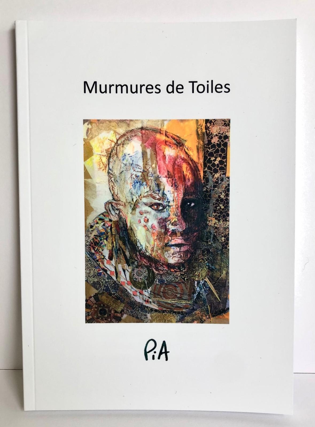 Tous les livres et recueils de l'artiste peintre PiA