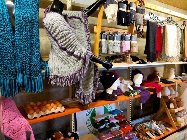 Boutique les alpagas des Evoissons 