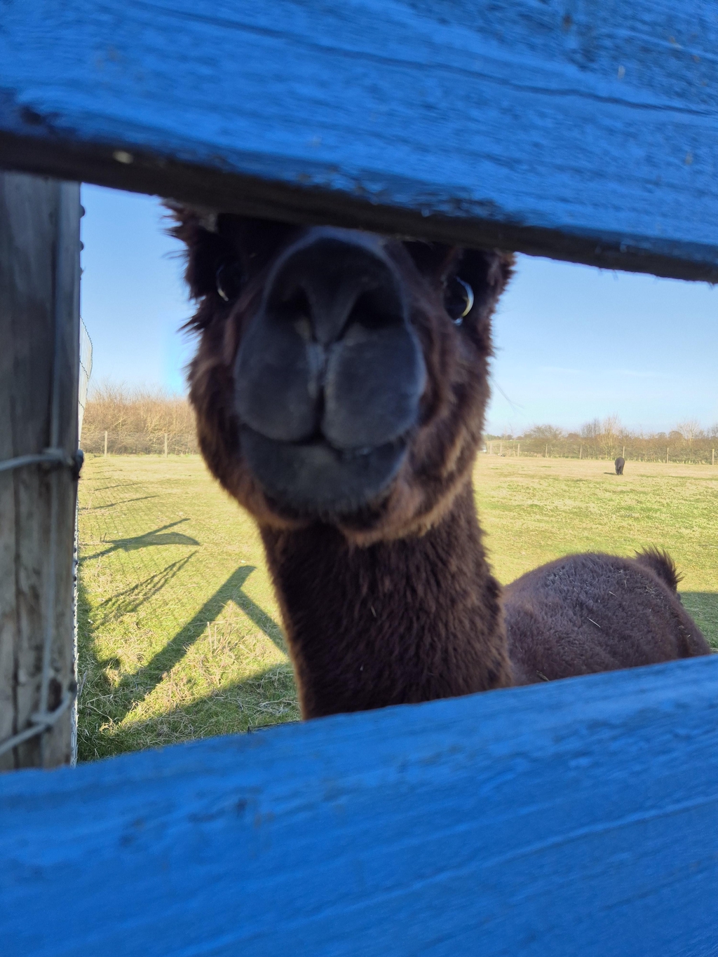 product_list_image_cover