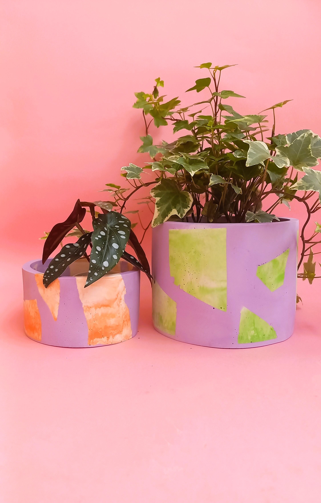 product_list_image_cover