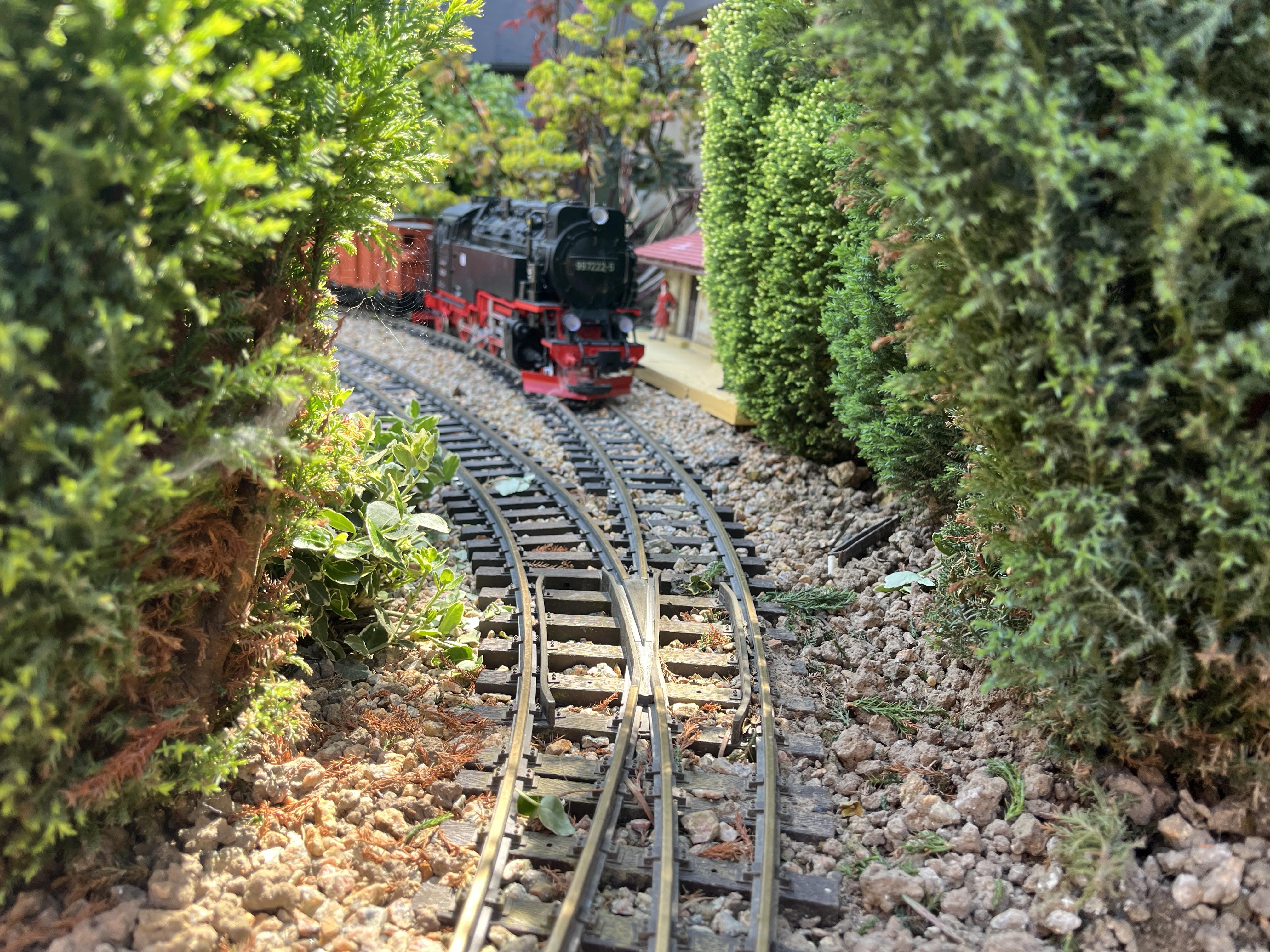 A model train in the garden G Scale