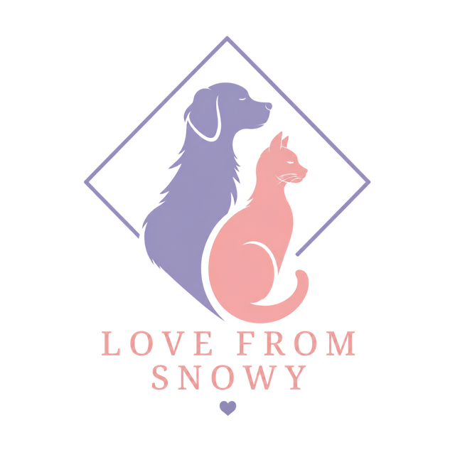Ideias originais para surpreender qualquer cat lover.