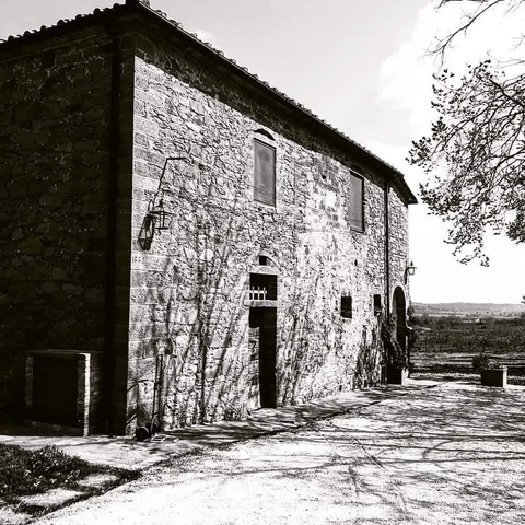 Podere Pievina Delle Corti | Shop online 
