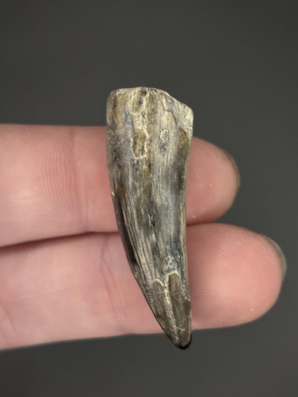 product_list_image_cover