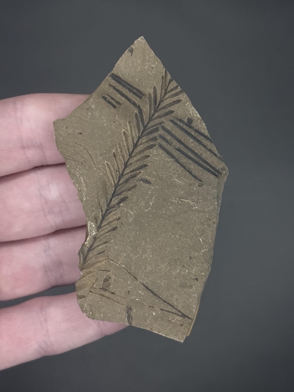 product_list_image_cover