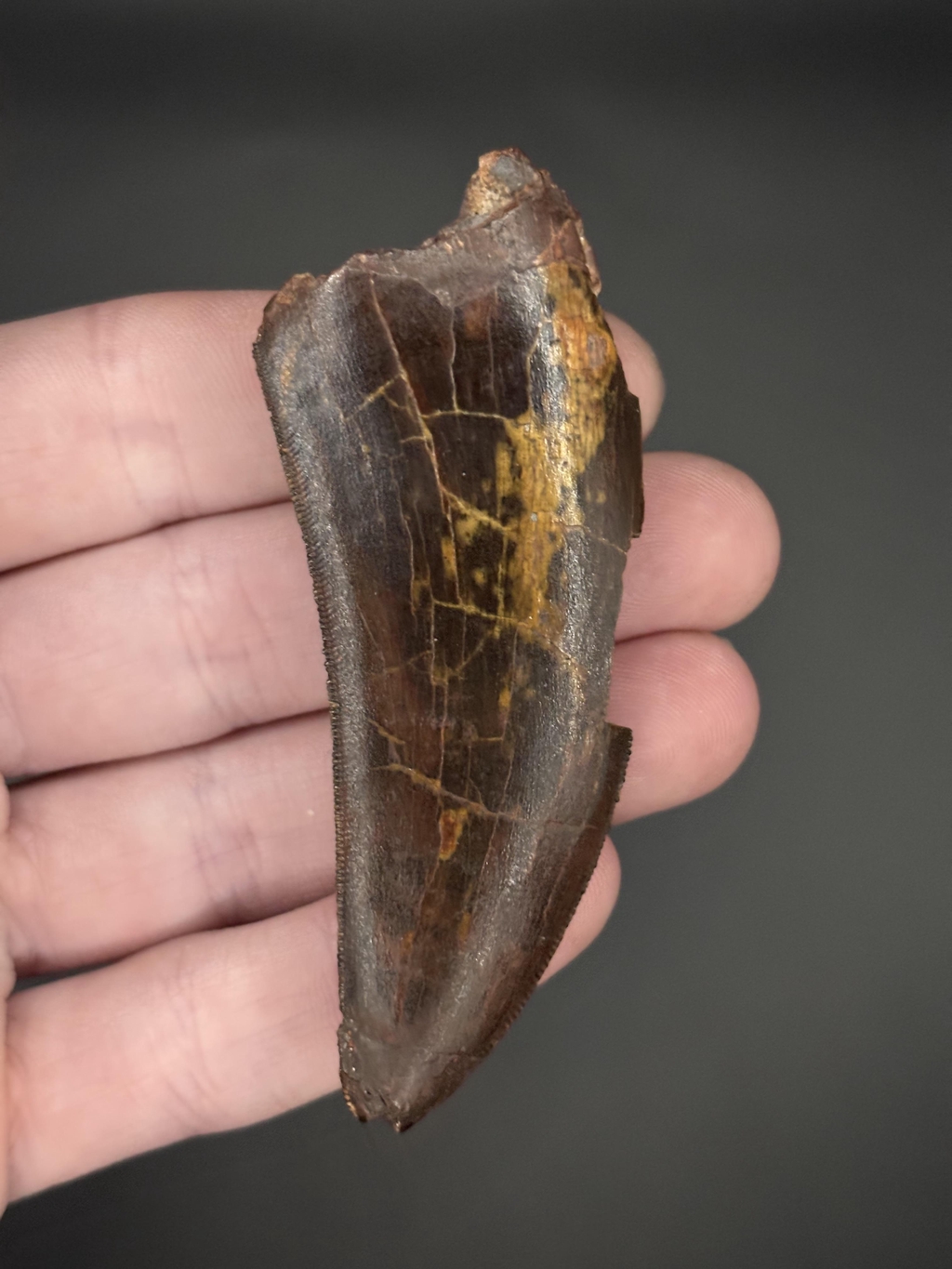 product_list_image_cover