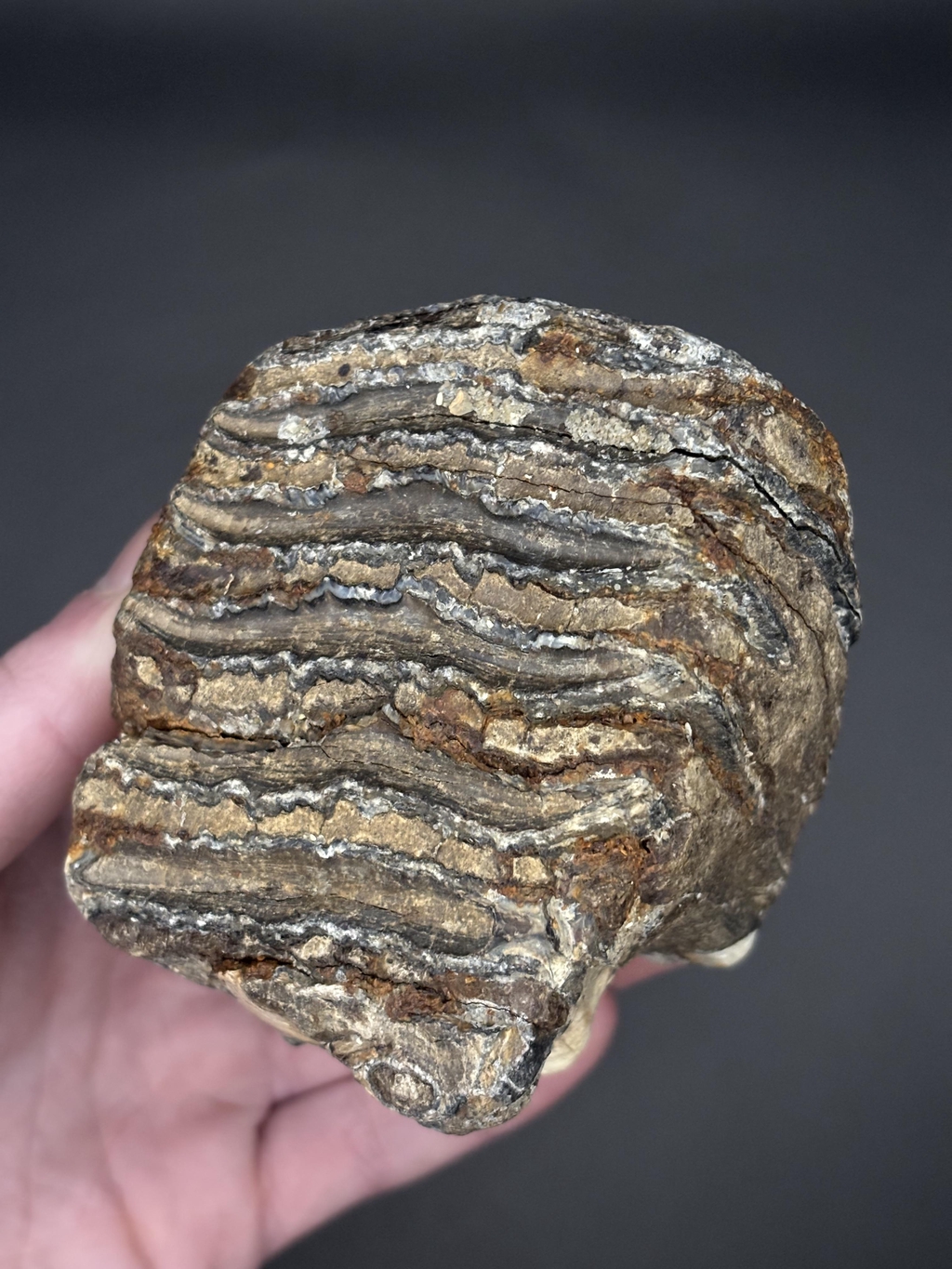 product_list_image_cover