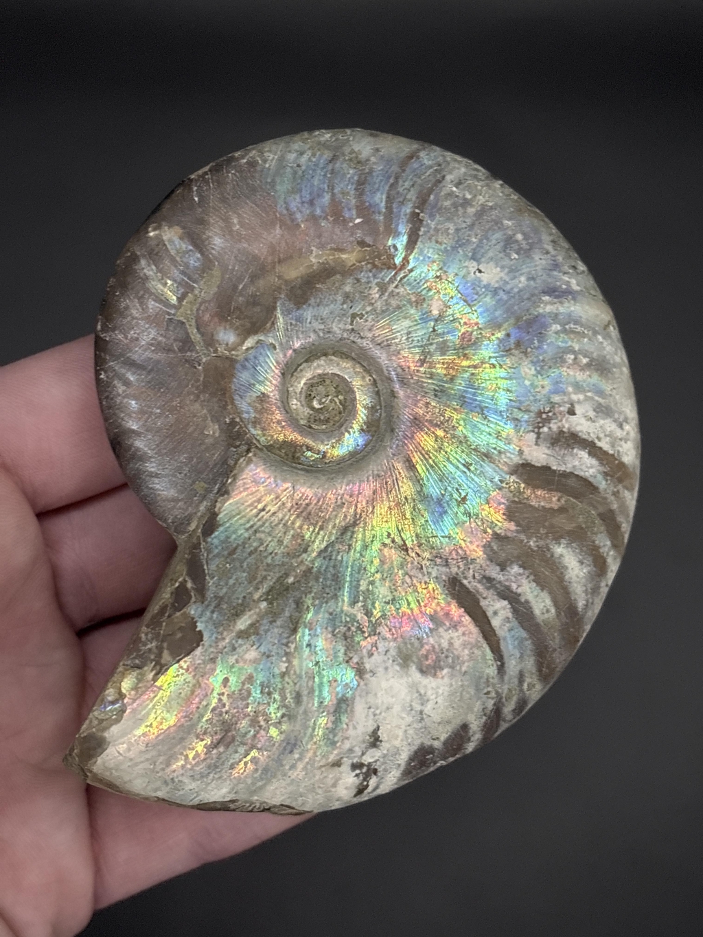 product_list_image_cover