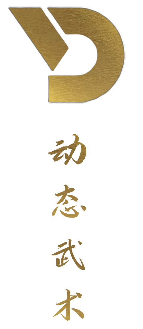 WingChun Shop