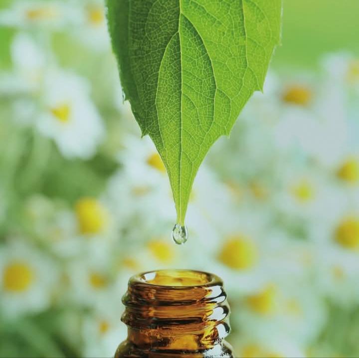 Relaxing treatment vouchers to purchase and then use at a time you would like, within six months.

Beauty vouchers for facials and massage near Kelso in the beautiful Scottish Borders.