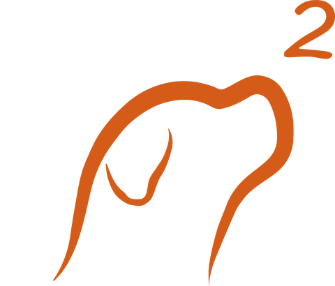 Hund-hoch2-online-shop