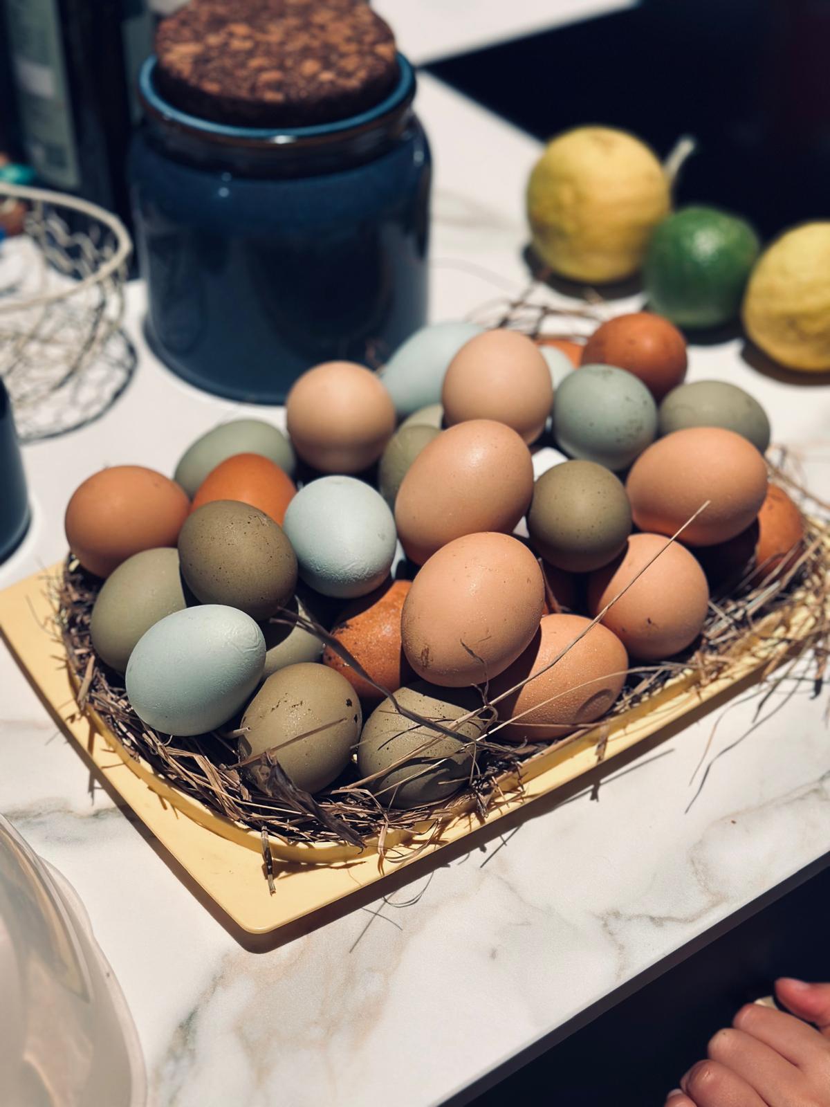 Abbiamo l'orto, le uova delle nostre girls e un piccolo frutteto che entrano naturalmente nei piatti insieme a ingredienti e prodotti del territorio piemontese.

------

Vegetable garden, the girls 🐓 and the little orchard 🫐


We have our own vegetable garden, eggs from our girls and a small orchard that naturally find their way into our dishes, alongside local ingredients and regional products from Piedmont.