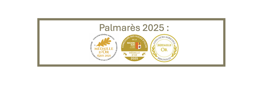 Palmarès 2025 : 3 médailles d'or