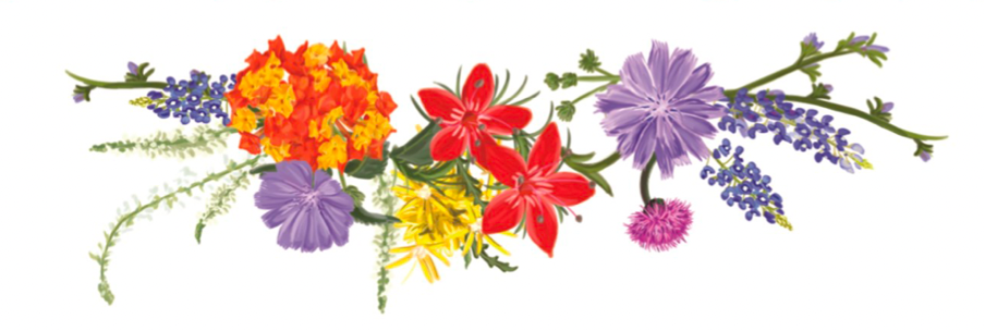 The Festival of Devon Gins