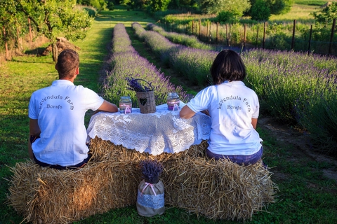 Gyógynövényes szörpök és lekvárok színezék -és tartósítószermentesen. Levendulás kézműves termékek.
