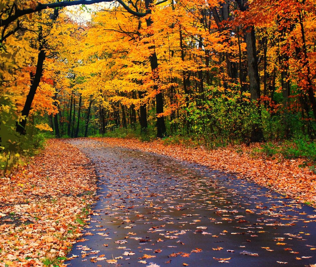 banner_image