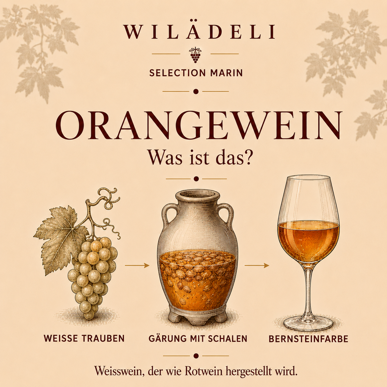 Orange wine is made from white grapes with skin contact. Discover how it develops its amber colour, distinctive texture, tannins and complex aromas.