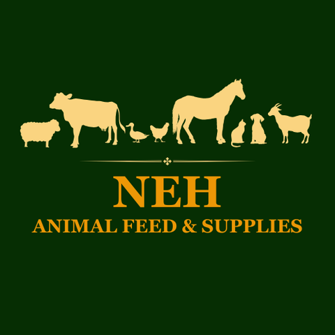 store_logo