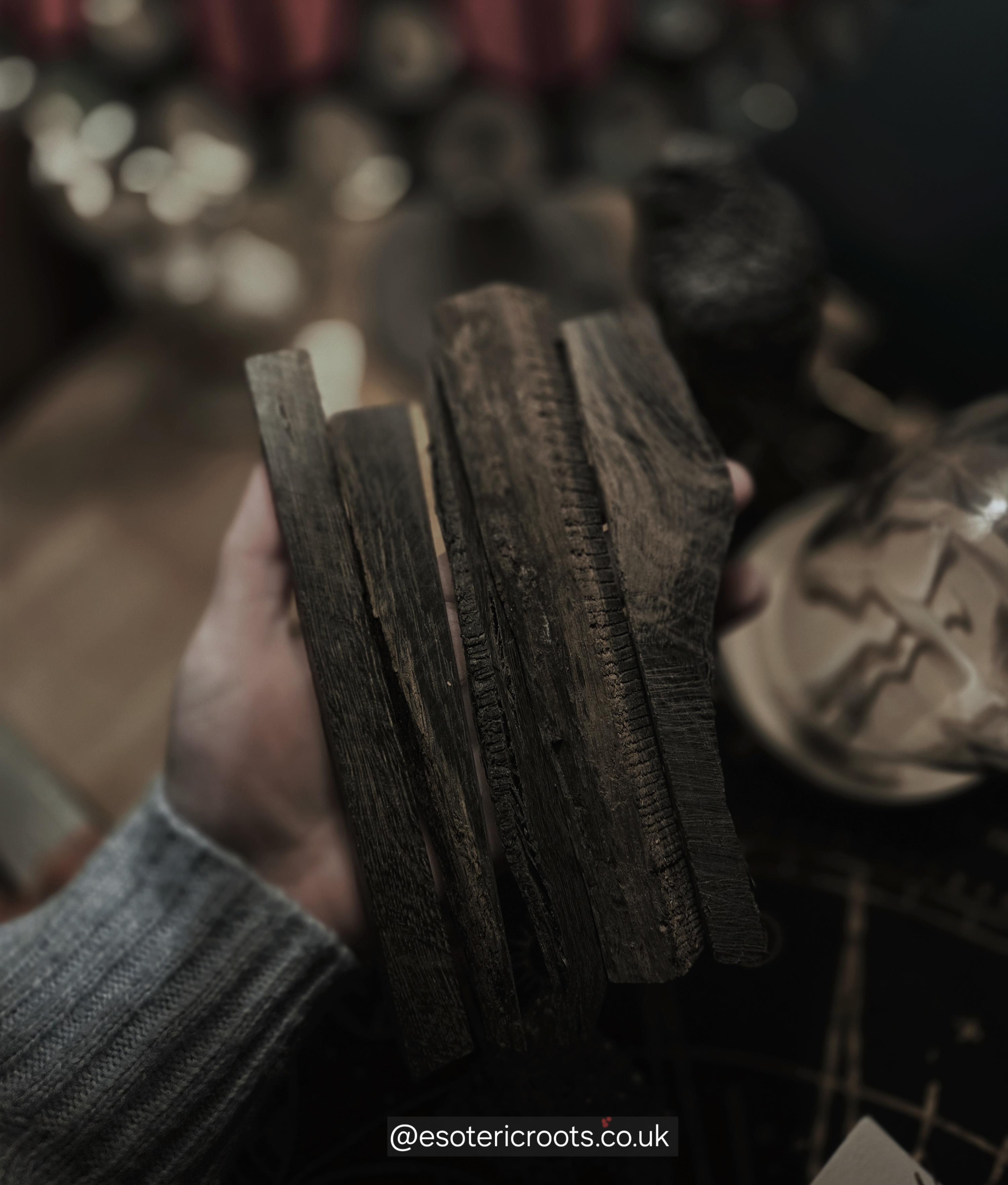 Ancient Bog Oak Ireland in Hand