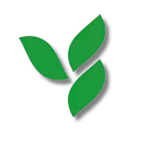 store_logo
