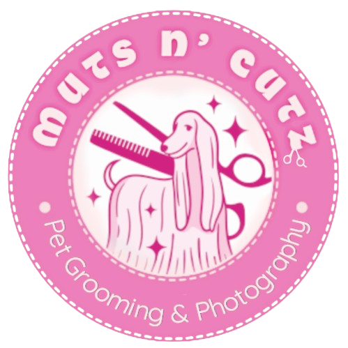 Elevate your pets grooming experience 