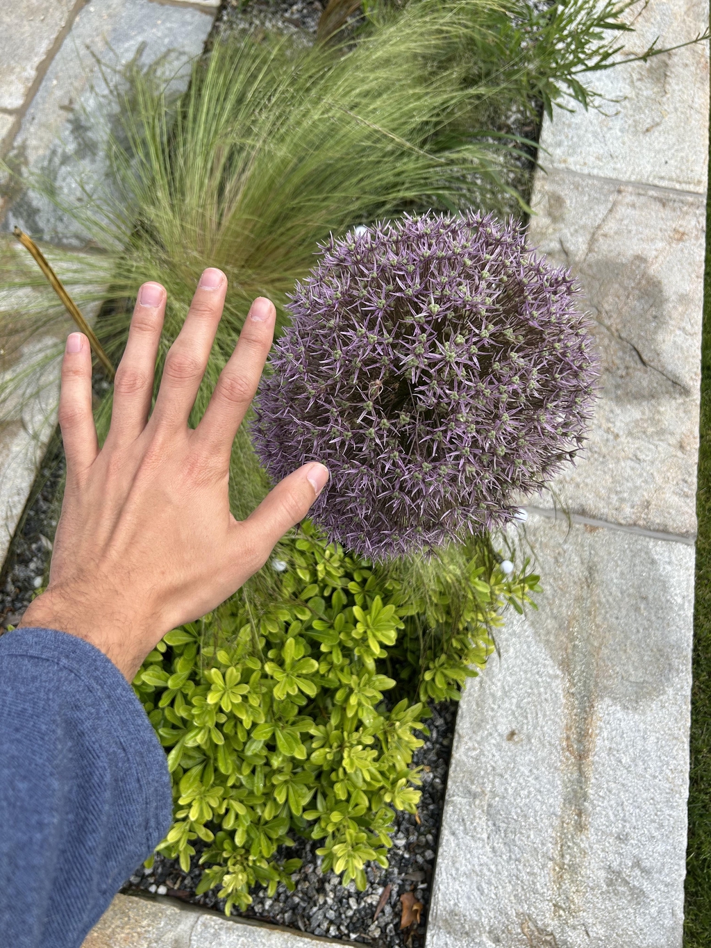 banner_image