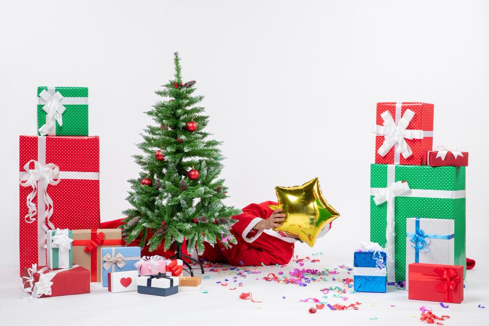 Célébrez Noël avec style