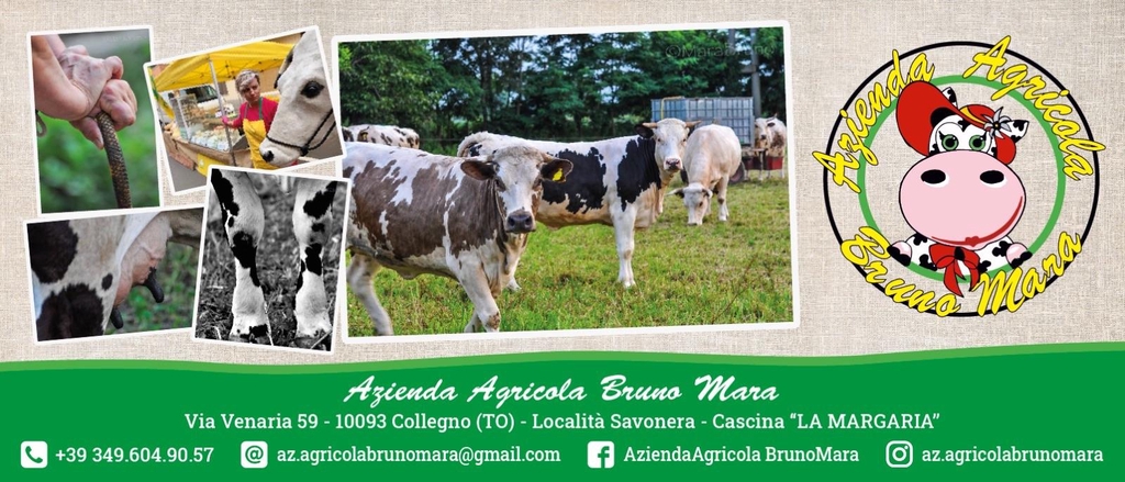 Azienda Agricola Bruno Mara foto 2