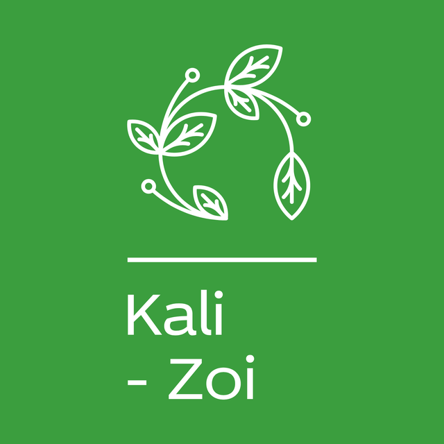store_logo