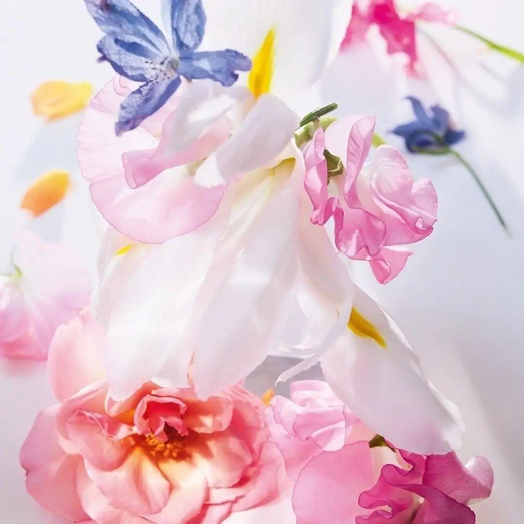 banner_image