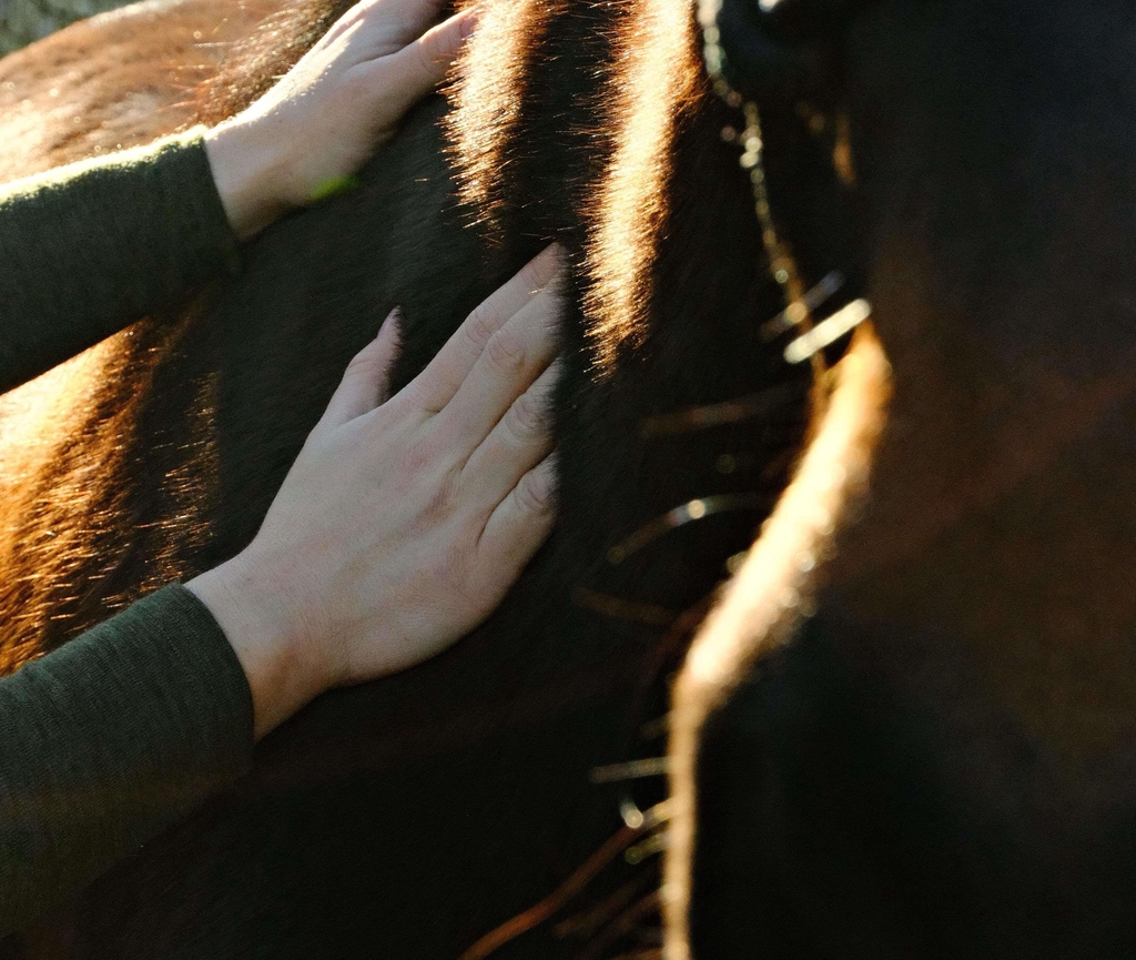 banner_image